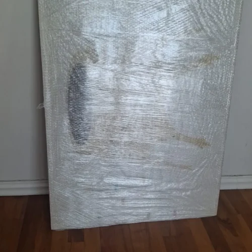 Mudanzas Monterrey Servicios Foto 14