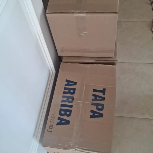 Mudanzas Monterrey Servicios Foto 19