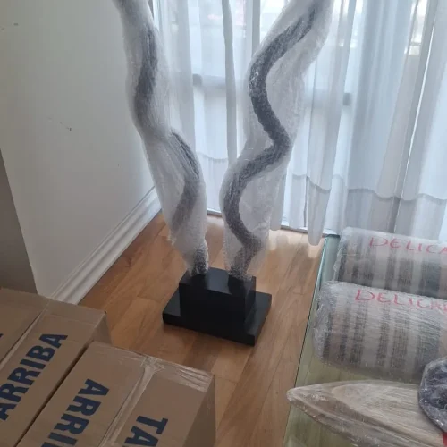 Mudanzas Monterrey Servicios Foto 20