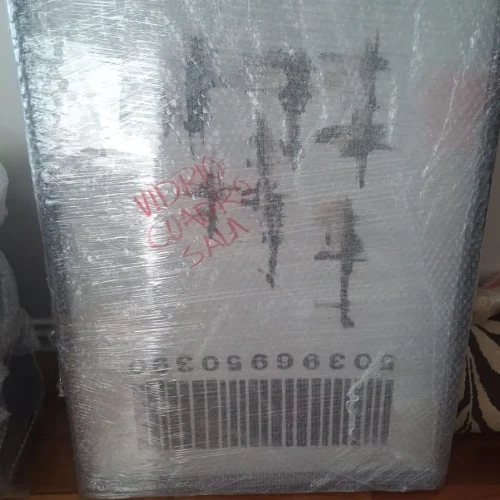 Mudanzas Monterrey Servicios Foto 22